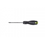 Carlyle Hand Tools Torx Screwdriver (CSDT10)