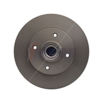 Fahren Solid Brake Discs - Rear (FBD6524)