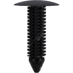 Workshop Warehouse Fir Tree Long Stem Black