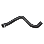 Gates Radiator Hose (67328) Fits: Ford