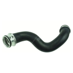 Gates Radiator Hose (241183) Fits: Mercedes