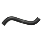 Gates Radiator Hose (279168)