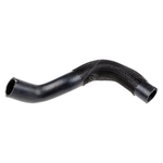 Gates Radiator Hose (304004)