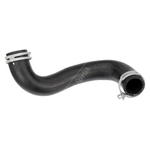 Gates Radiator Hose (995043)