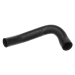 Gates Radiator Hose (1048368)