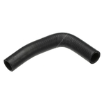 Gates Radiator Hose (2009)