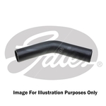 Gates 45 Degree Fuel Fill Hose (24713)