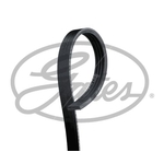 Gates Micro-V Stretch Fit V-Ribbed Belt (4PK753SF) Fits: Suzuki