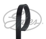 Gates Micro-V Multi-Rib Stretch Fit Belt (5PK1236SF) Fits: Hyundai