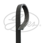 Gates Micro-V V-Ribbed Belt (6DPK1195)