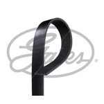 Gates FleetRunner Micro-V V-Ribbed Belt (8PK1075HD) Fits: Volvo