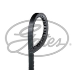 Gates FleetRunner V-Belt (AVX13X1775HD)