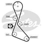 Gates PowerGrip Timing Belt Kit (K015130XS) Fits: Renault