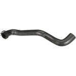 Gates Radiator Hose (1111190) Fits: Ford