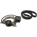 Gates Micro-V E-Start V-Ribbed Belt Set (K016PK1199EST)