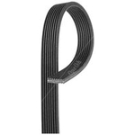 Gates Micro-V V-Ribbed Belt (8DPK1355)