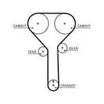 Gates Powergrip Timing Belt (5723XS) Fits: Volvo