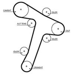 Gates Powergrip Timing Belt (5725XS) Fits: Maxus