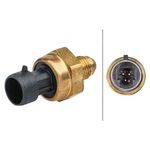 Hella Exhaust Pressure Sensor (6PP 009 409-491)