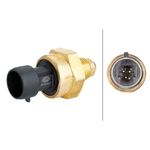 Hella Exhaust Pressure Sensor (6PP 009 409-511)