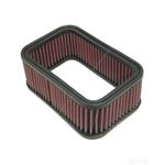 K&N E-3952 Custom Air Filter