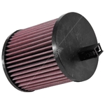 K&N Replacement Air Filter E-0650