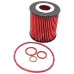 K&N Oil Filter Insert (HP-7054) Fits: BMW