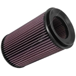 K&N Replacement Air Filter E-0645