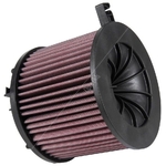K&N E-0646 - Replacement Air Filter