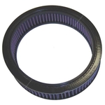 K&N Long-life Air Filter (E-1290)