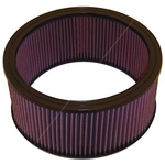 K&N Long-life Air Filter (E-1420)