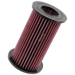 K&N Long-life Air Filter (E-2020)