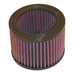 K&N Long-life Air Filter (E-2400)
