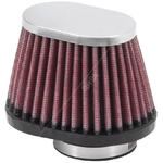 K&N Long-life Air Filter (RC-2450)