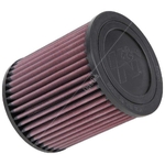 K&N Replacement Air Filter - E-1998