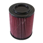 K&N Long-life Air Filter (E-2988)