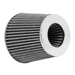 K&N Long-life Air Filter (RG-1001WT)