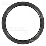 Victor Reinz Oil Seal (81-10595-00)