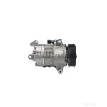 MAHLE Air Con Compressor - ACP161000P