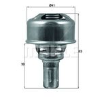 Thermostat Insert - MAHLE TX 174 86 (TX17486) - Renault Cars & Vans