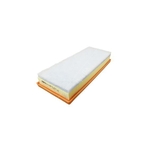 Mahle Air Filter (LX6169)