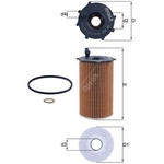 Mahle Oil Filter (OX417D) Element