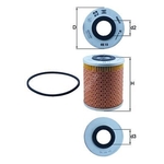 Oil Filter Element - MAHLE OX 15D - Car