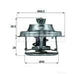 Thermostat Insert - MAHLE TX 102 82D
