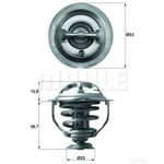 Thermostat Insert - MAHLE TX 117 95D