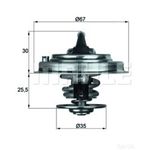 Thermostat Insert - MAHLE TX 30 87D
