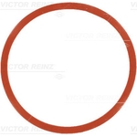 Victor Reinz Intake Manifold Gasket Fits: BMW (71-77546-00)