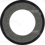 Victor Reinz Oil Seal Fits: Ford (81-34313-00)