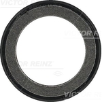 Victor Reinz Oil Seal Fits: Ford (81-34316-00)