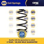 NAPA Coil Spring Rear (NCS1037)